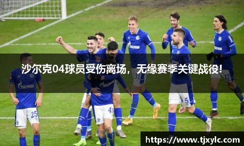 沙尔克04球员受伤离场，无缘赛季关键战役!