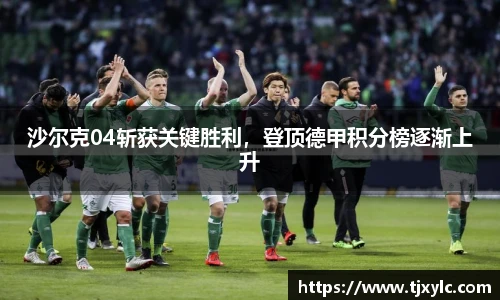 沙尔克04斩获关键胜利，登顶德甲积分榜逐渐上升