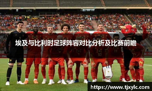 埃及与比利时足球阵容对比分析及比赛前瞻